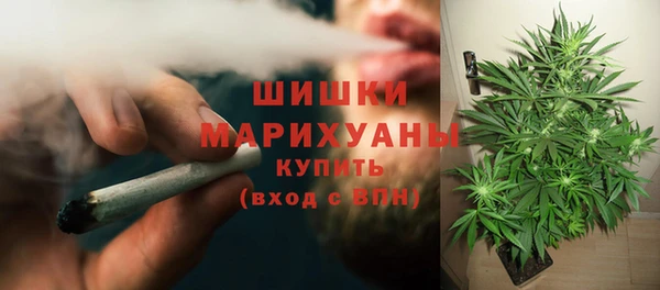 spice Нея