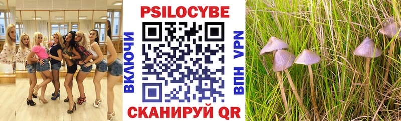 Псилоцибиновые грибы мухоморы  OMG ONION  Гуково 