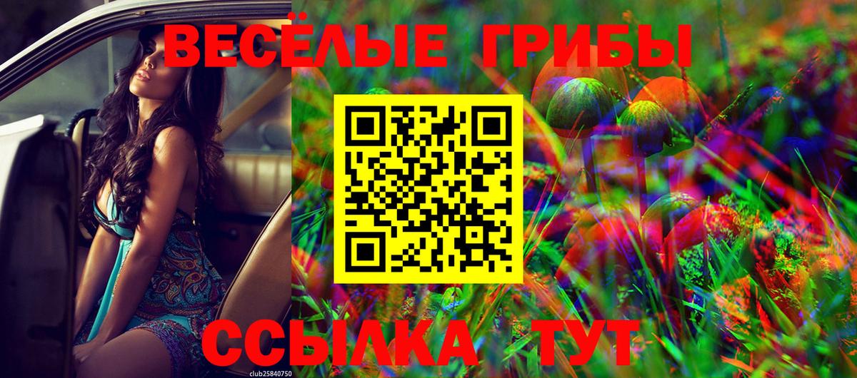 Гуково  Галлюциногенные грибы мухоморы  купить  цена  Вход с VPN 
