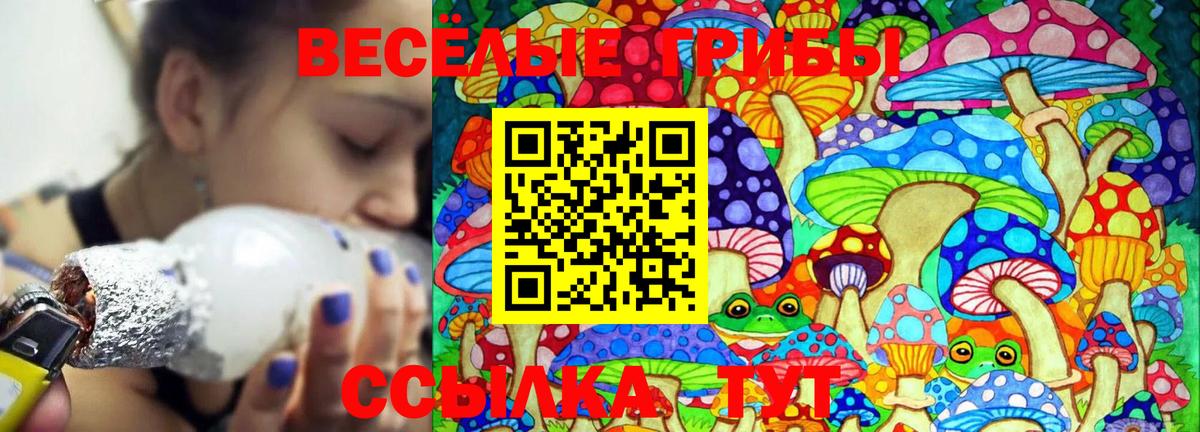 Галлюциногенные грибы Cubensis  Гуково 