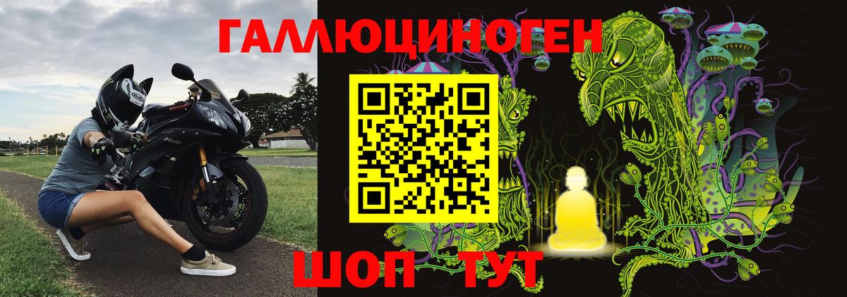 Псилоцибиновые грибы Cubensis Гуково