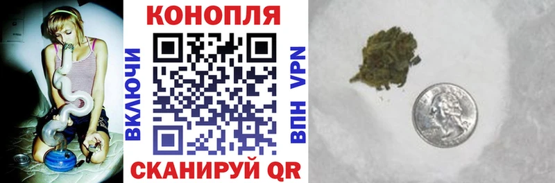Бошки Шишки планчик Гуково